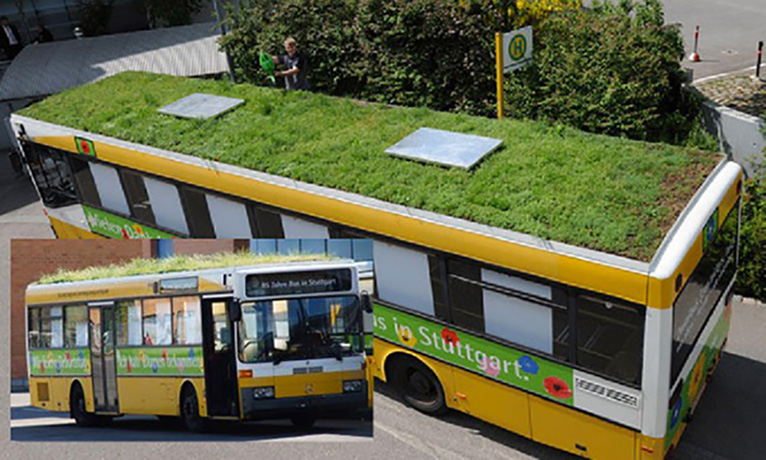 Bus_green_roof766x460